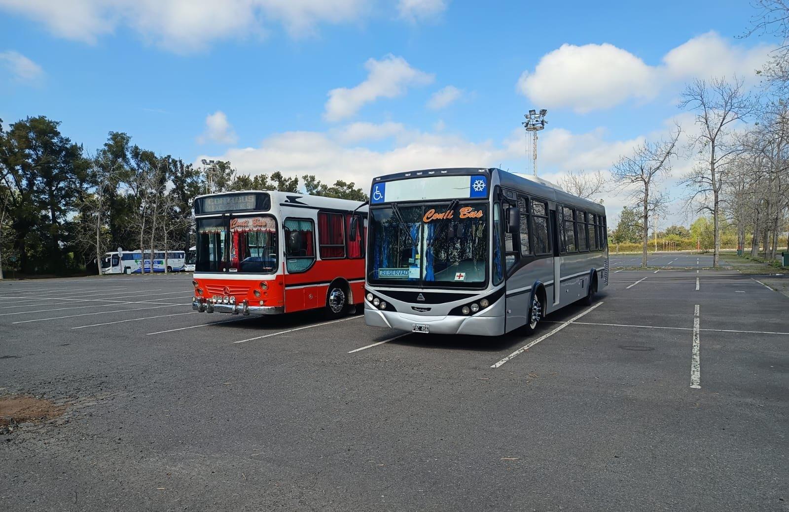 Dos micros de Conti Bus, uno rojo y uno gris, estacionados en un predio arbolado